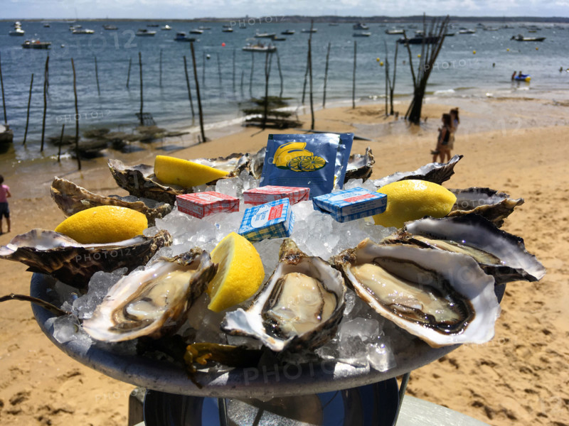 FRANCE-VACANCES A LA MER