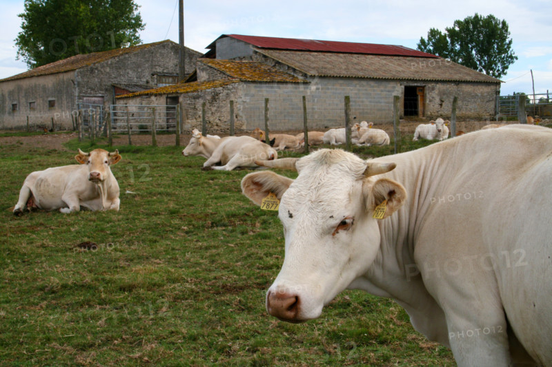 FRANCE PROVINCE AGRICULTURE