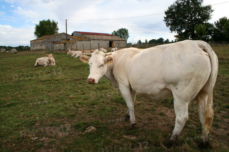 FRANCE PROVINCE AGRICULTURE