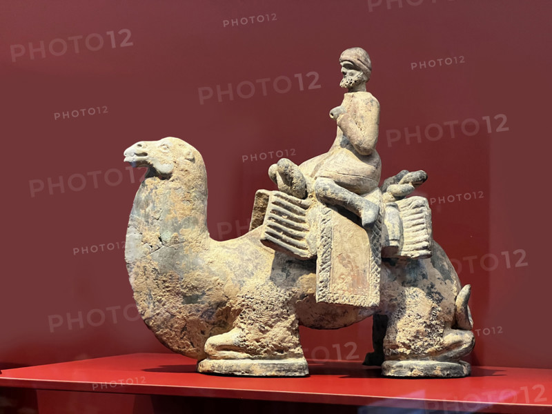 FRANCE-CULTURE-MUSEE CERNUSCHI