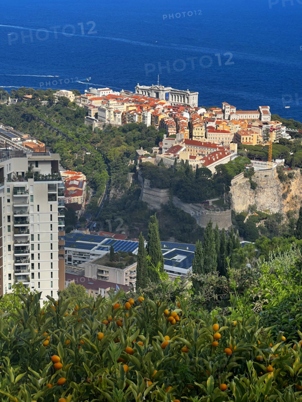 Baie de Monaco