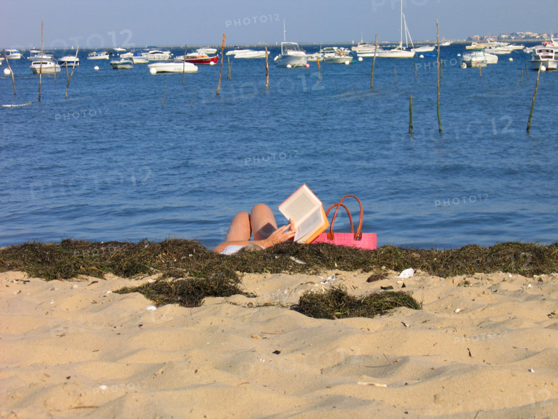 France-Vacances-lecture