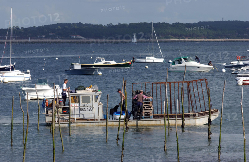 France - Arcachon - Illustration