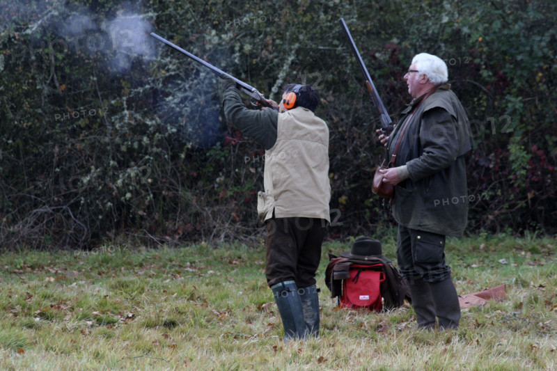 Chasse - France - Petit gibier