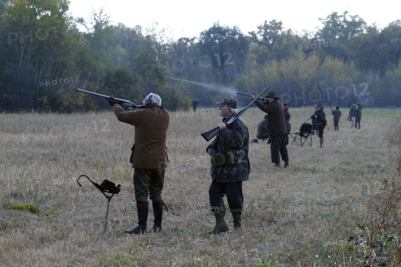 Chasse - France - Petit gibier