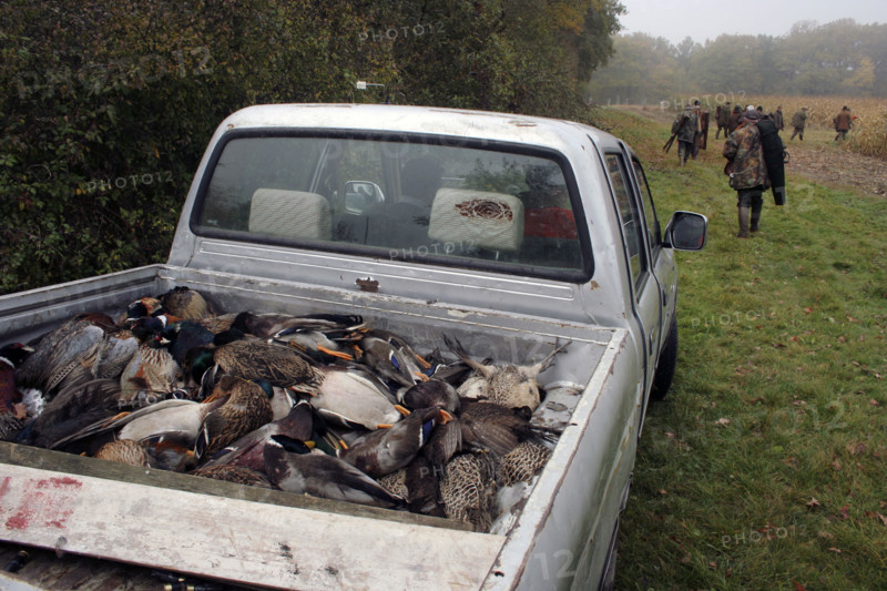 Chasse - France - Petit gibier