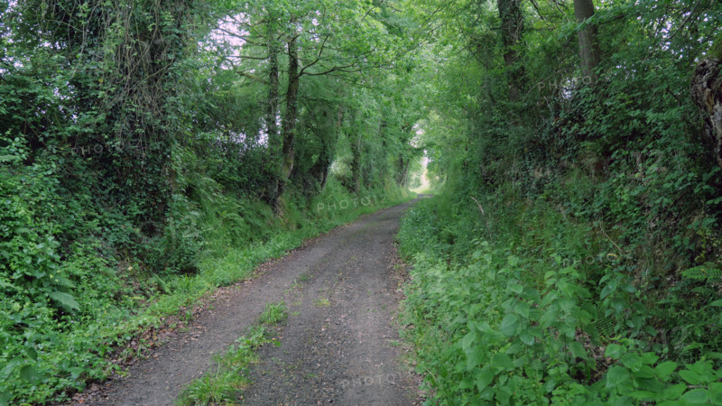 France - Régions - Nature