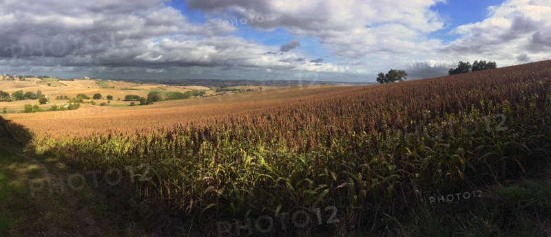 France - Régions - Nature