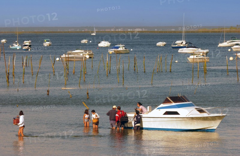 France - Vacances - Cap Ferret
