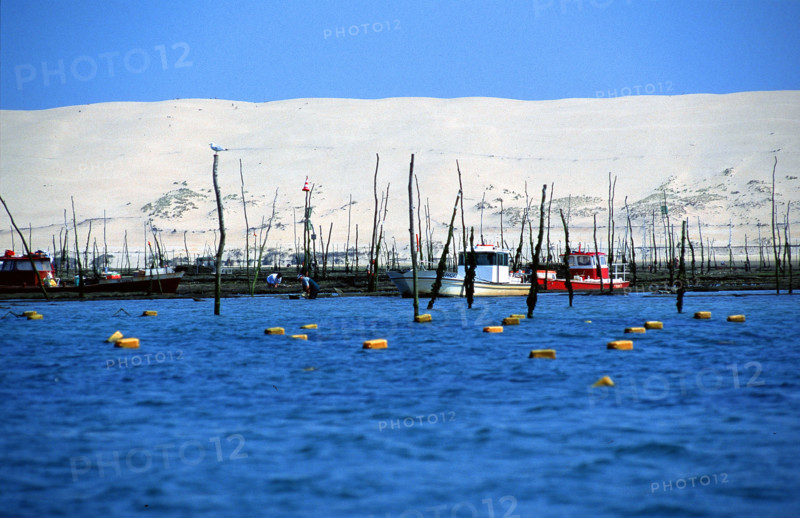France - Holidays - Cap Ferret