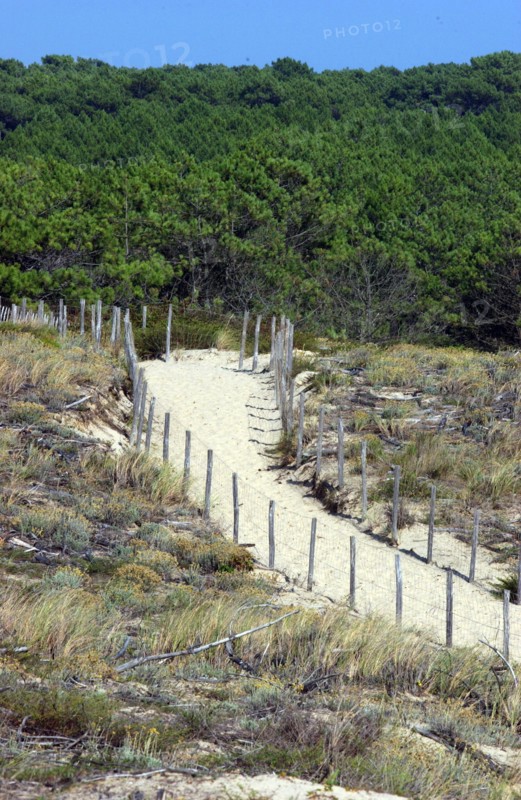 France - Vacances - Cap Ferret