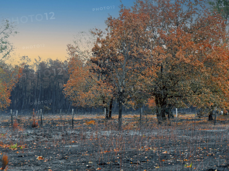 France – Gironde – Summer 2026 wildfires
