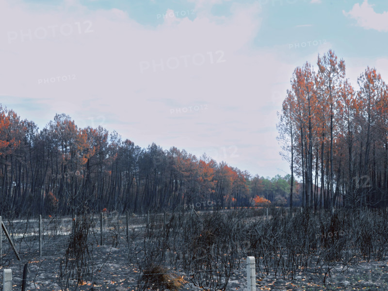 France – Gironde – Summer 2026 wildfires