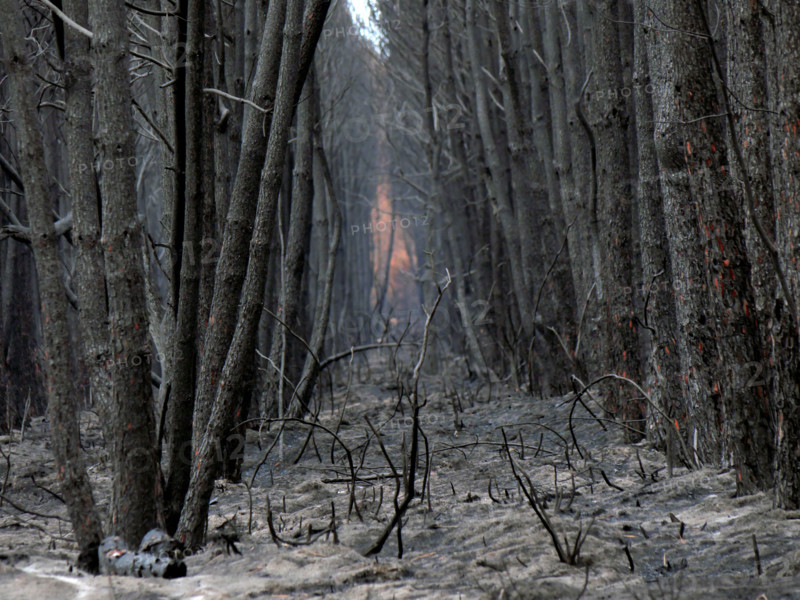 France – Gironde – Summer 2026 wildfires