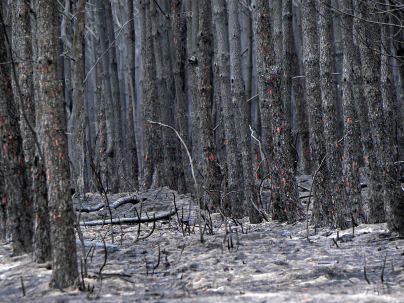 France - Gironde - Incendies été 2026