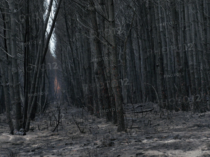 France - Gironde - Incendies été 2026