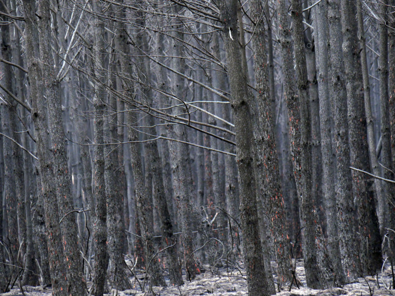 France - Gironde - Incendies été 2026