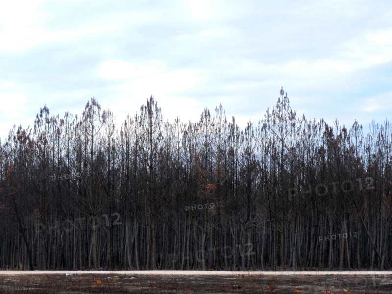 France - Gironde - Incendies été 2026