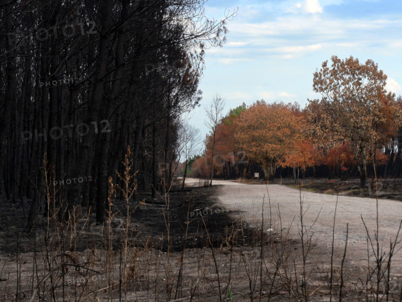 France – Gironde – Summer 2026 wildfires