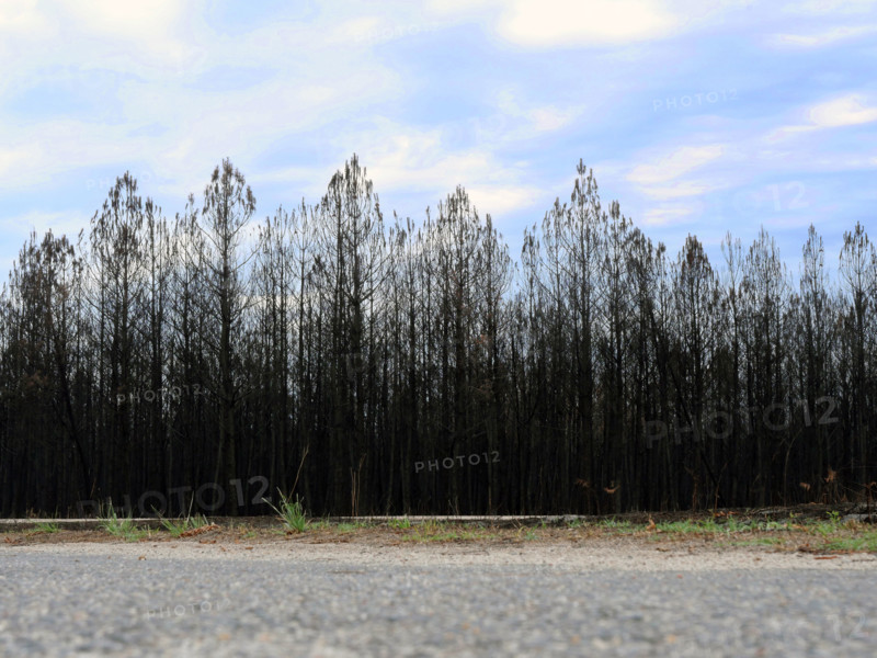France – Gironde – Summer 2026 wildfires