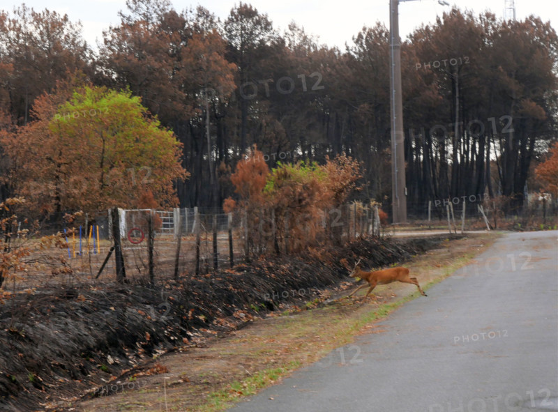 France - Gironde - Incendies été 2026