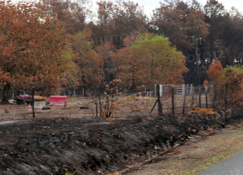 France - Gironde - Incendies été 2026