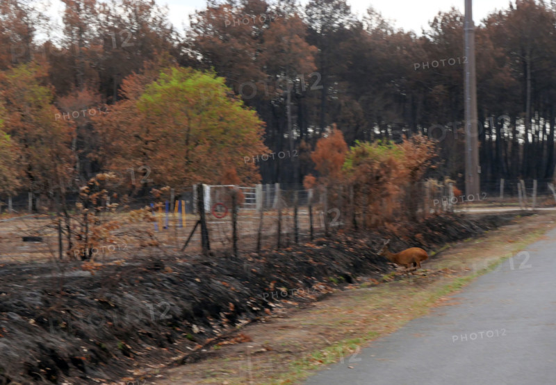 France - Gironde - Incendies été 2026