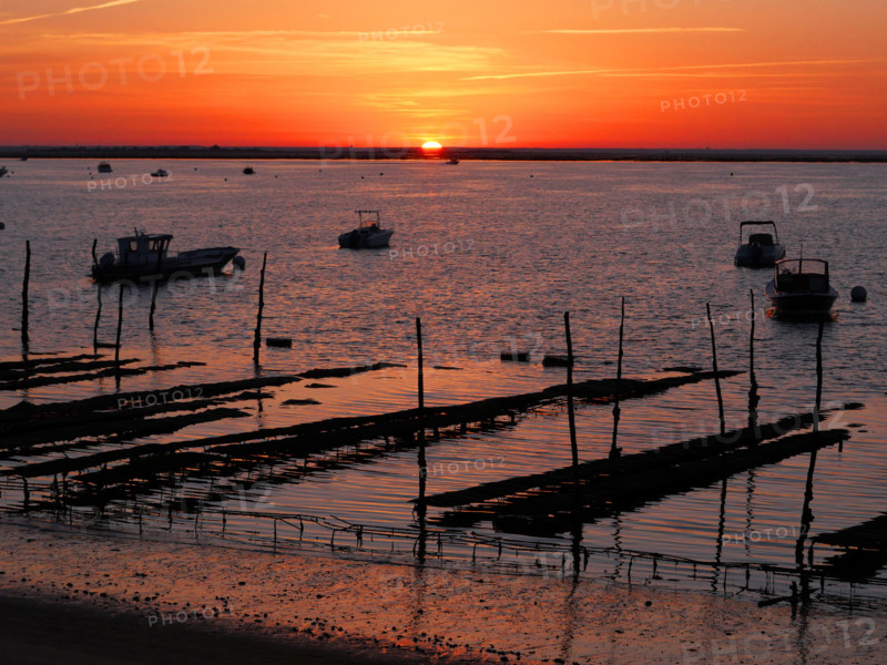France-Régions-Bassin d'Arcachon