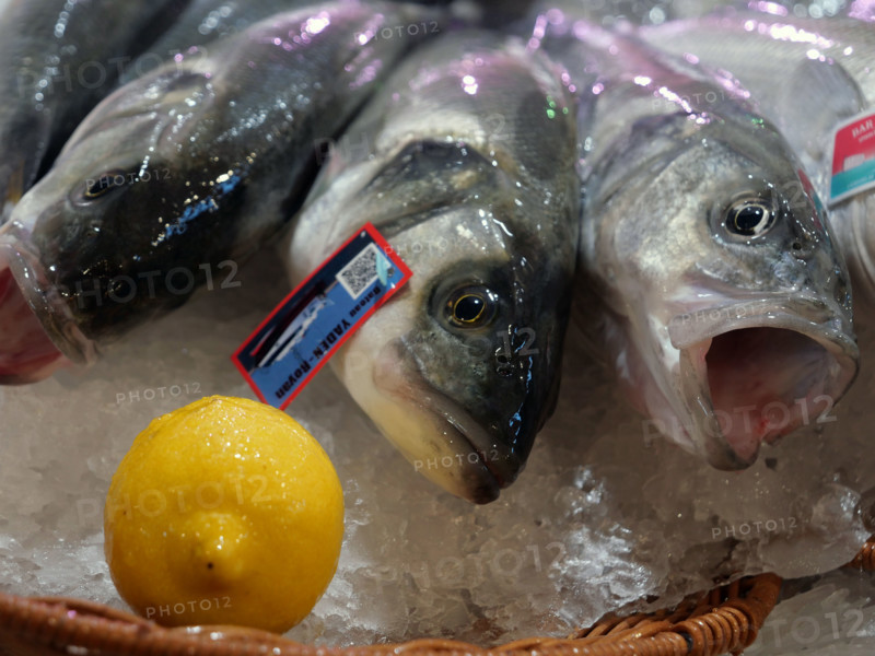 France - Société - Alimentation