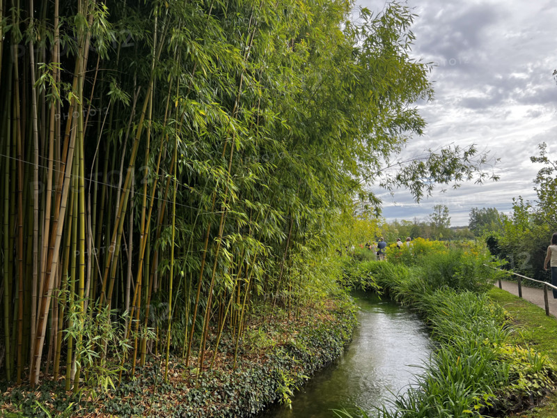 France - Culture - Musée Monet