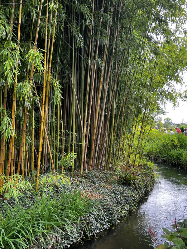 France - Culture - Musée Monet