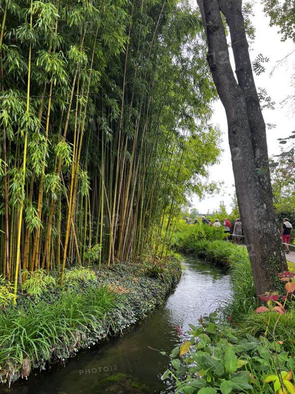 France - Culture - Musée Monet