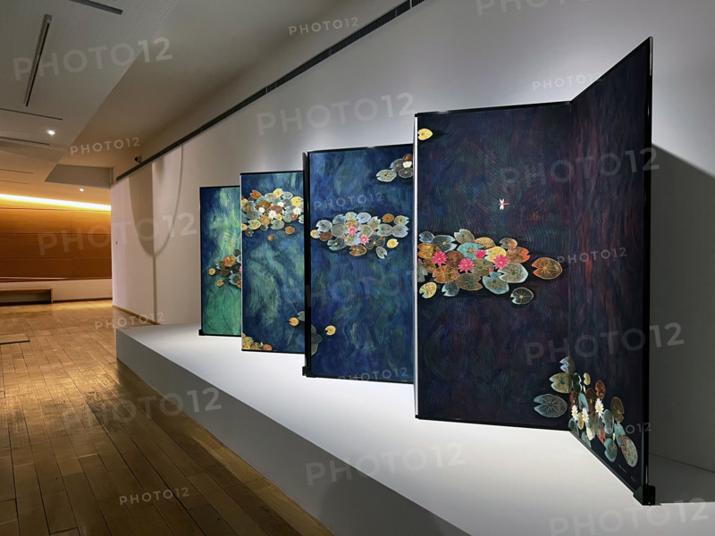 France - Culture - Musée Monet
