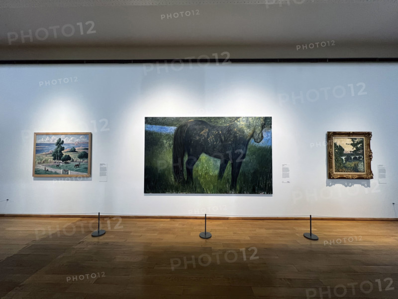 France - Culture - Musée Monet