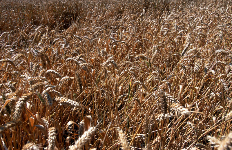 France - Économie - Agriculture