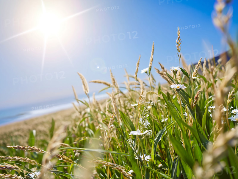 France - Régions - Nature