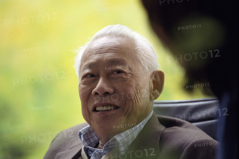 Portrait of Zao Wou Ki, September 2003