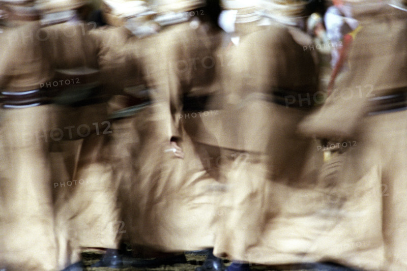 Festival royal du cheval et du chameau au Sultanat d'Oman, janvier 2006