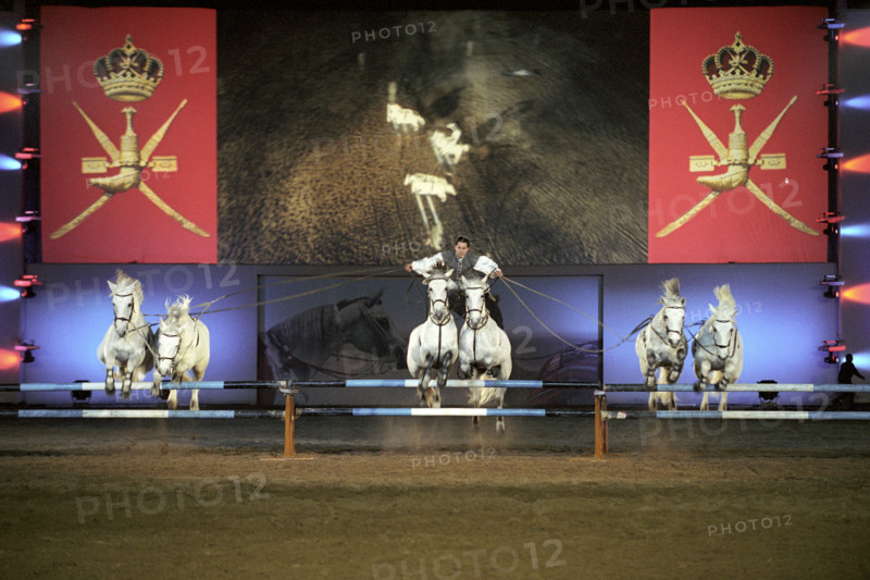 Royal Equestrian and Camels festival - Festival royal d'equestre et du chameau au Sultanat d'Oman