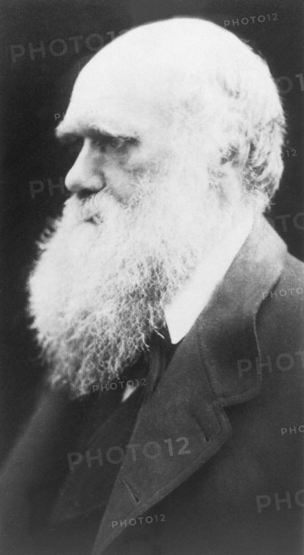 Darwin Charles