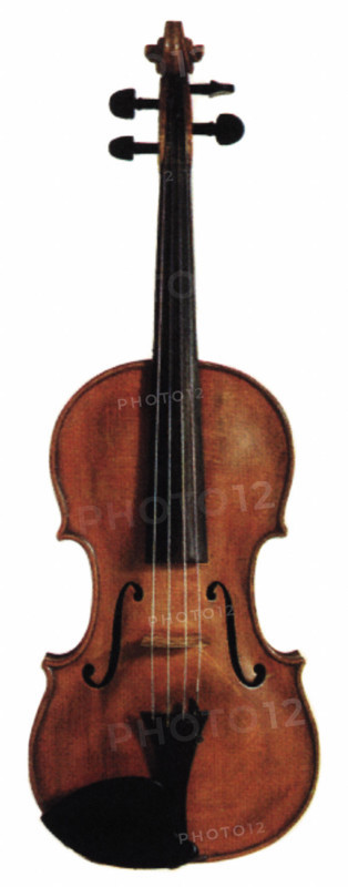 Violin