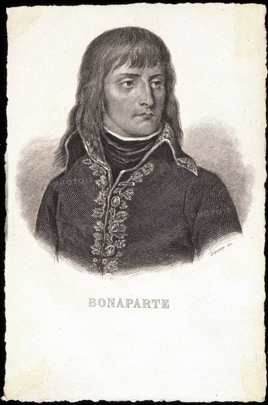 Portrait of Napoleon I as a young man.