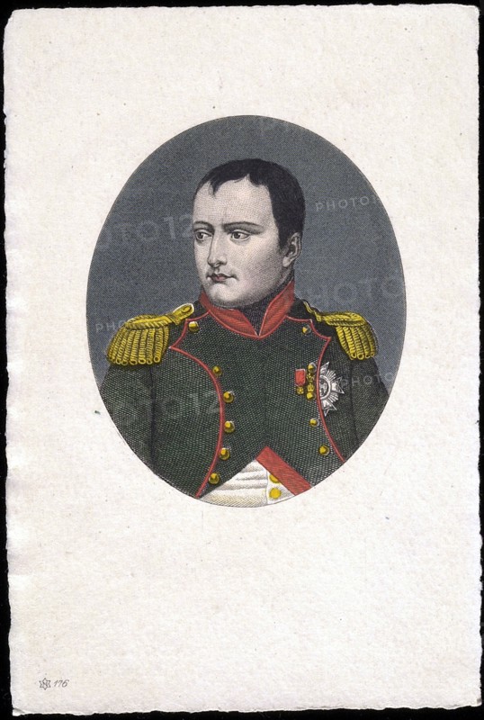Portrait of Napoleon I.