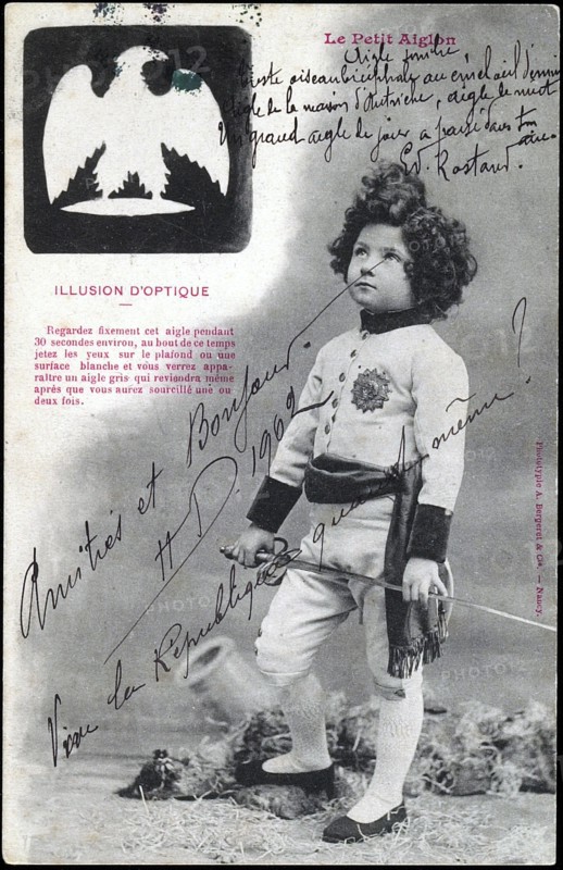 Portrait of Napoleon II, son of Napoleon I.