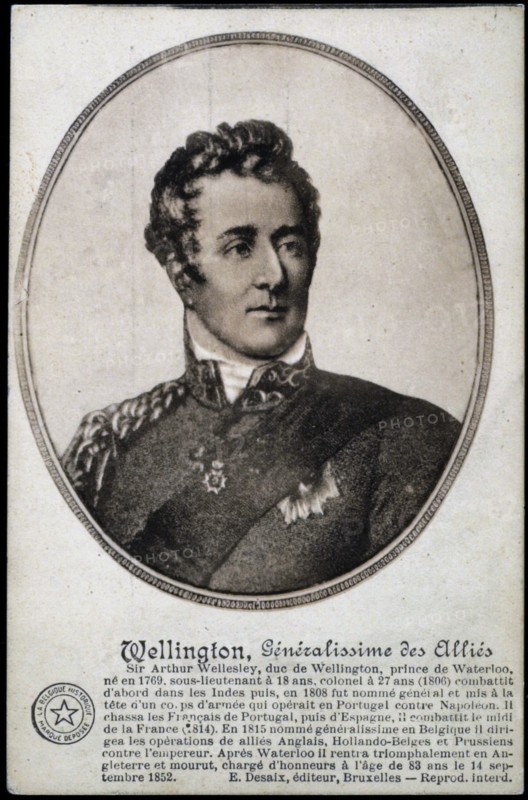 Portrait du général Wellington.