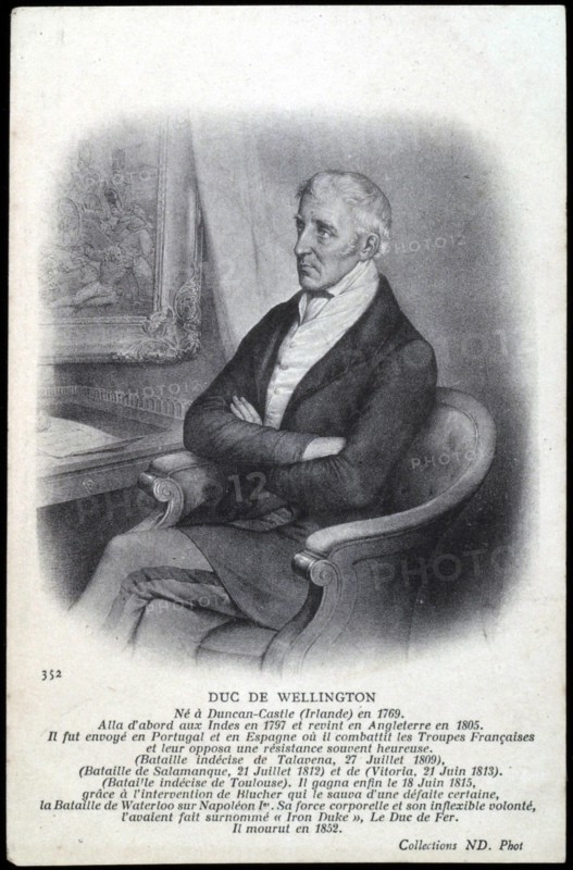 Portrait du général Wellington.