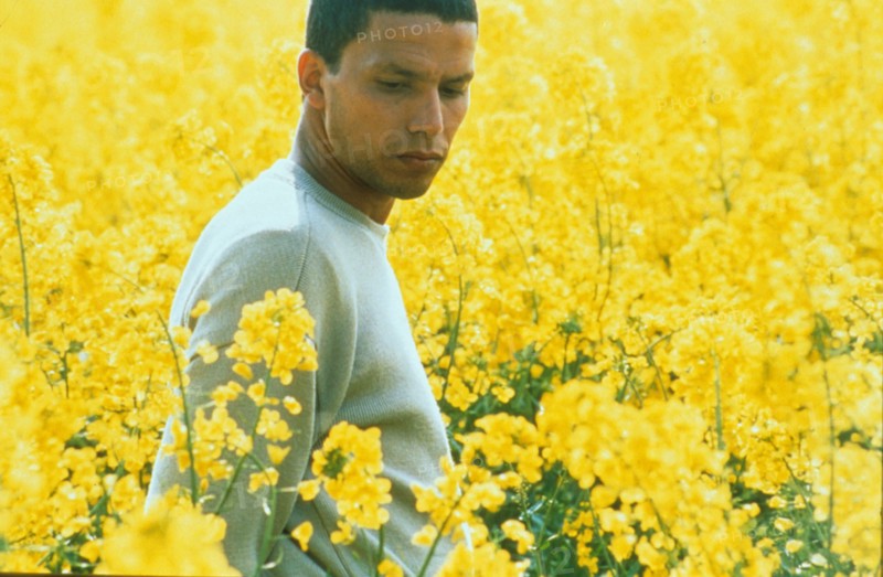 Drôle de Félix