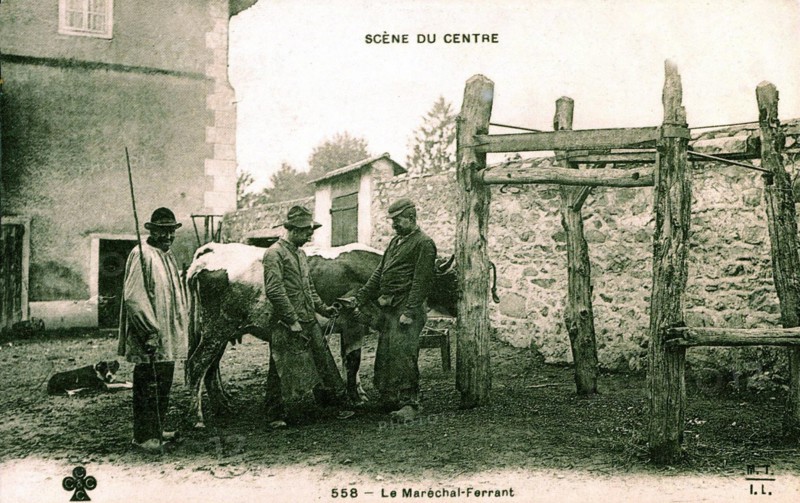 Post card