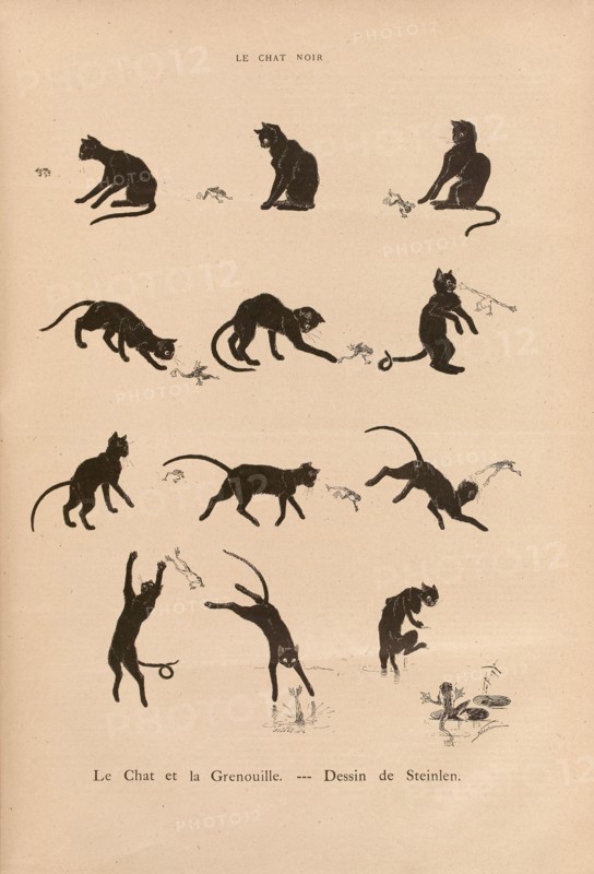 Chats, le chat et la grenouille par Steinlen