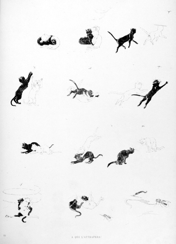 Chats, à qui l'attrapera par Steinlen
